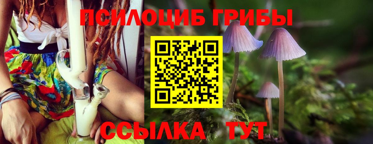 Ковров  Галлюциногенные грибы ЛСД  Вход с VPN 